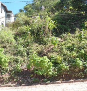 Terreno - Santa Luzia