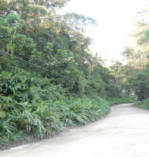 Terreno - Barro Branco