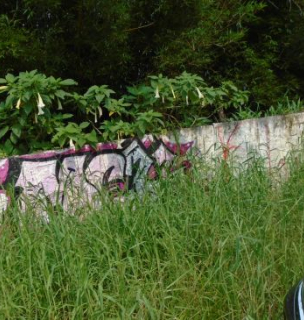 Terreno - Centro Alto